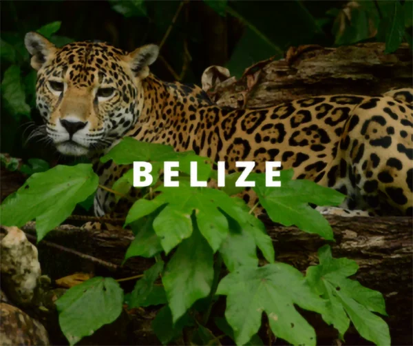 Belize - CATA