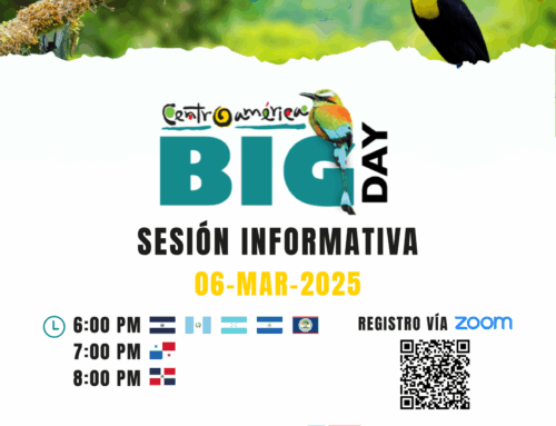 Participa en la sesión informativa del Centroamérica Big Day