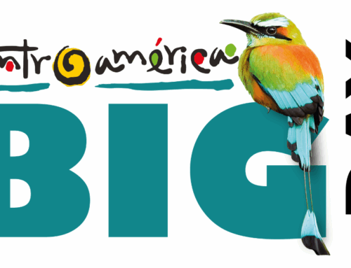 Juntos colocamos a Centroamérica en el mapa internacional de avistamiento de aves