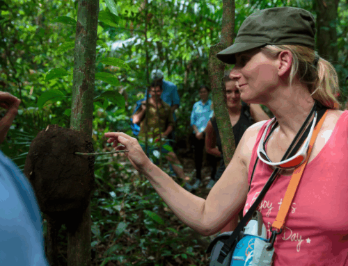 El micoturismo sostenible florece en Chiriquí: Una apuesta por un nuevo tipo de turismo especializado